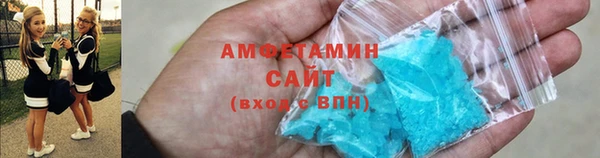 PSILOCYBIN Горняк