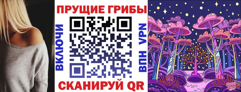 Псилоцибиновые грибы ЛСД  гидра ссылки  Мещовск 